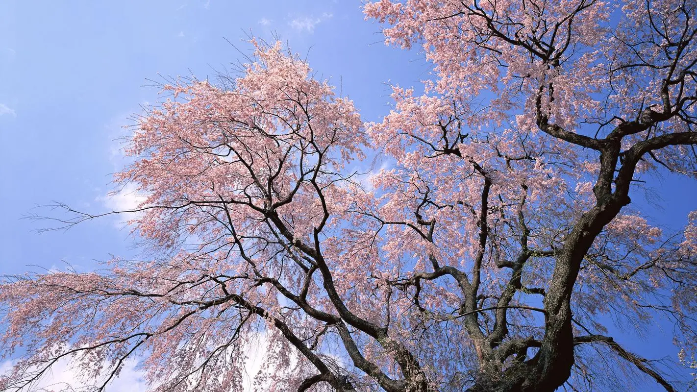 KAIYUN